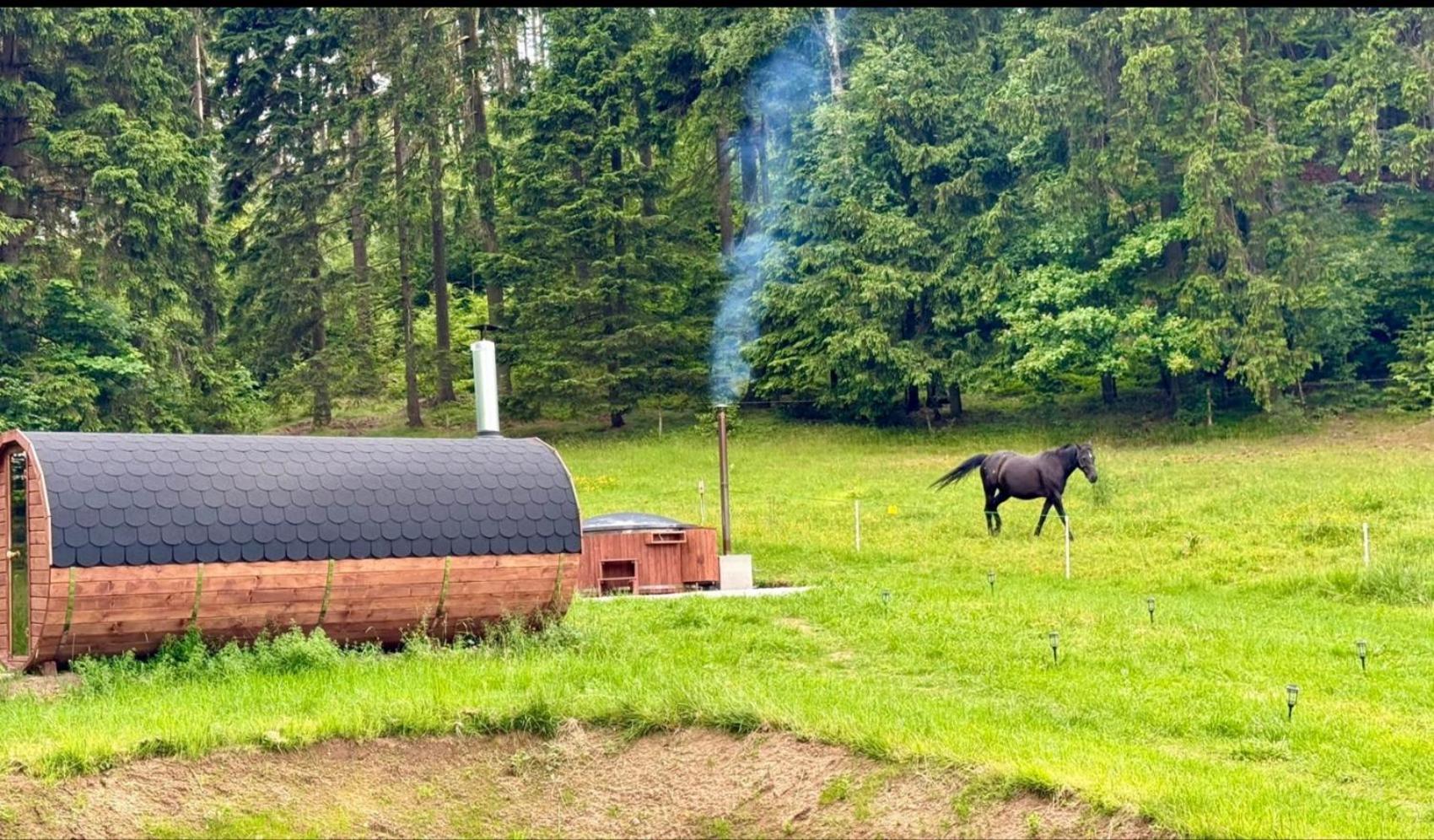 Отель Forrest Glamp Mieroszow Экстерьер фото