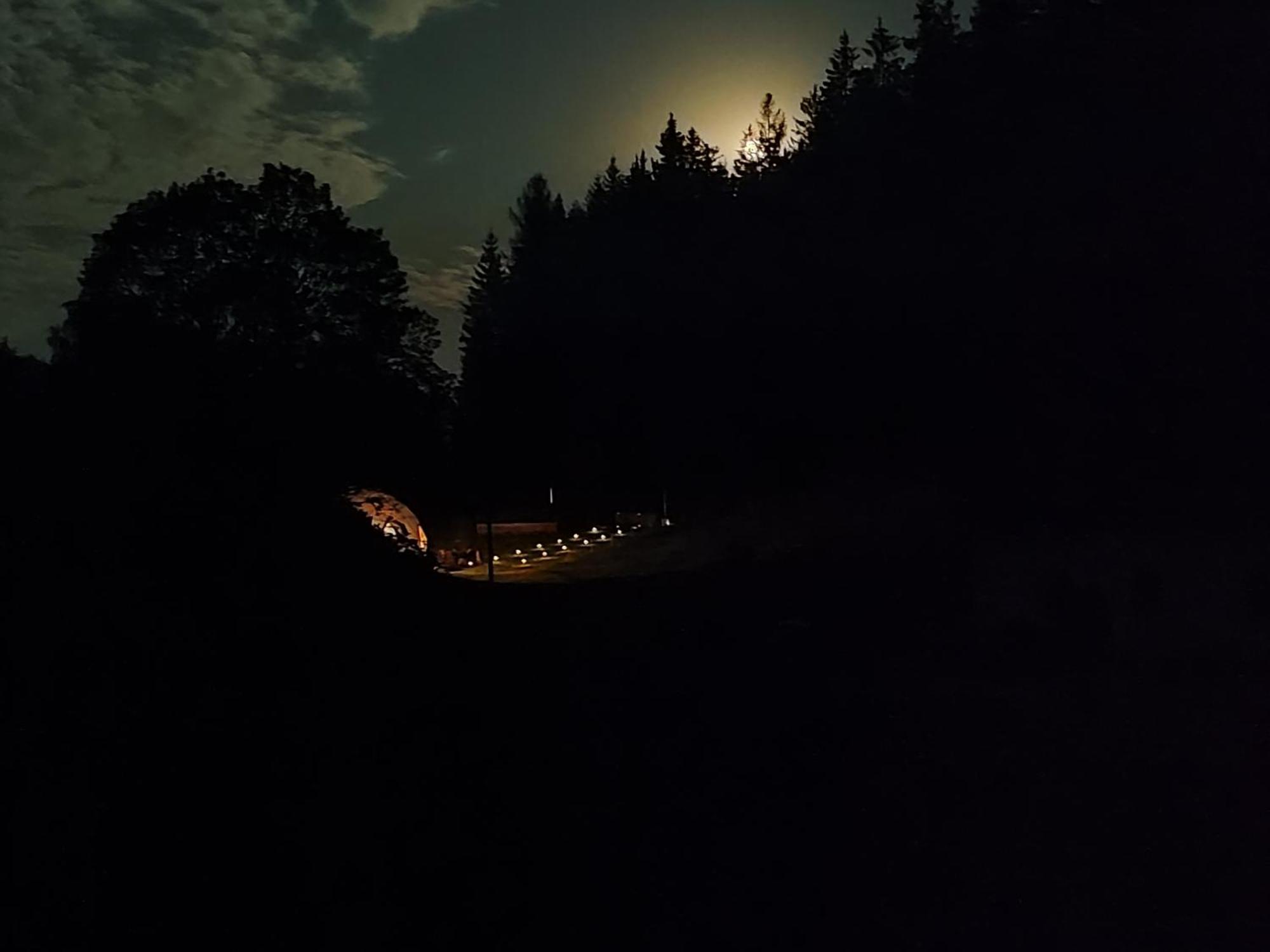 Отель Forrest Glamp Mieroszow Экстерьер фото
