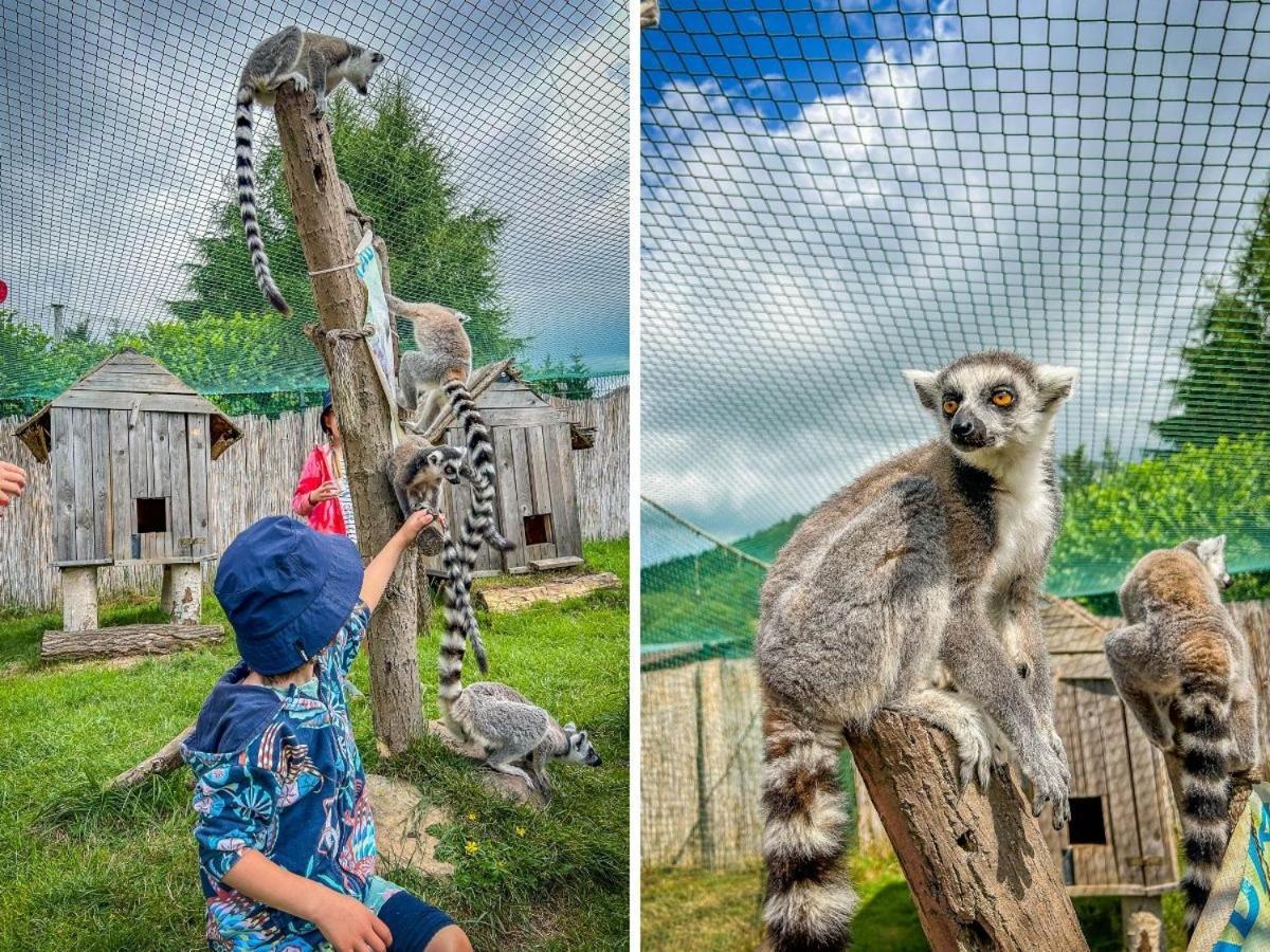 Отель Forrest Glamp Mieroszow Экстерьер фото